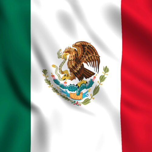 mexican-flag-waving-in-the-wind-2024-11-28-11-40-35-utc